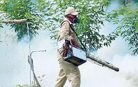 Advierten peligro de una epidemia de dengue en Chiriquí 