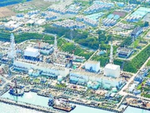 Denuncian por negligencia a la operadora de la central nuclear  