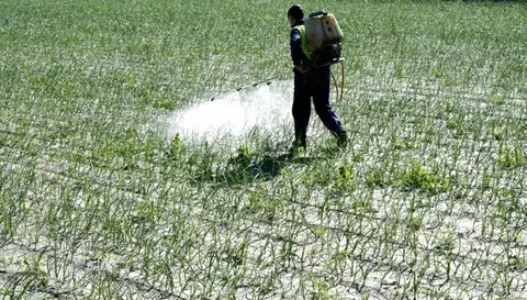 Contaminantes ambientales afectan la salud reproductiva