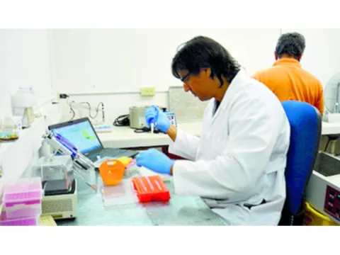 La enfermedad ocasiona problemas reproductivos  
