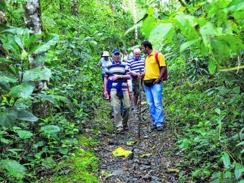 La Amistad, el parque del quetzal y los senderos