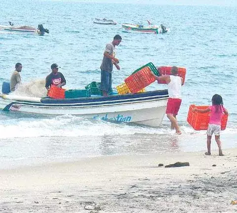 Pescadores artesanales se asocian para buscar mercados 