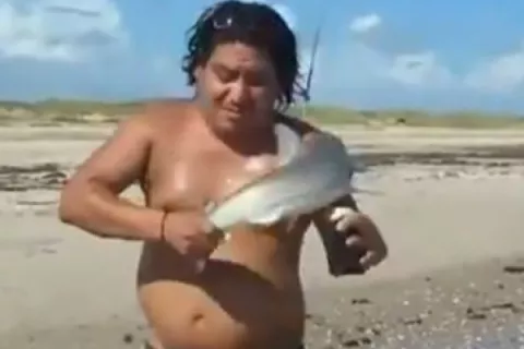 Tiburón que pescó lo muerde mientras trataba de sacarse una foto