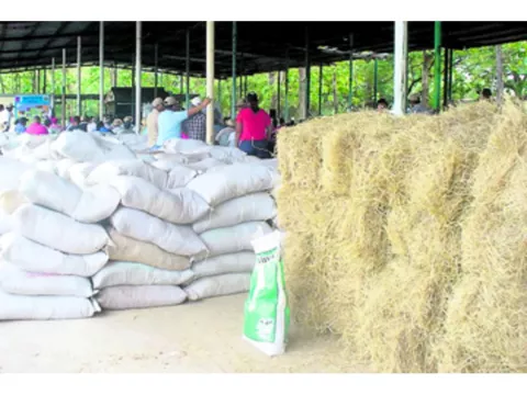 Mida descarta que se registre  escasez de leche y    carne de res 