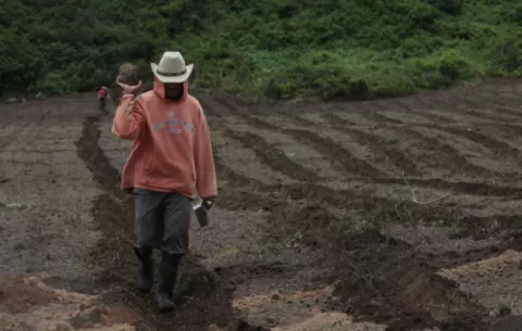 Importación sigue siendo el mayor problema del sector agropecuario