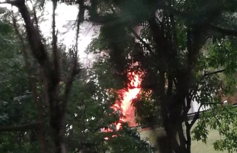 Auto arde en llamas vía al Puente de las Américas