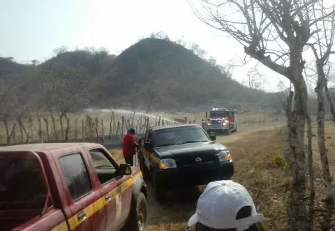 Proliferan incendios de masa vegetal en Herrera