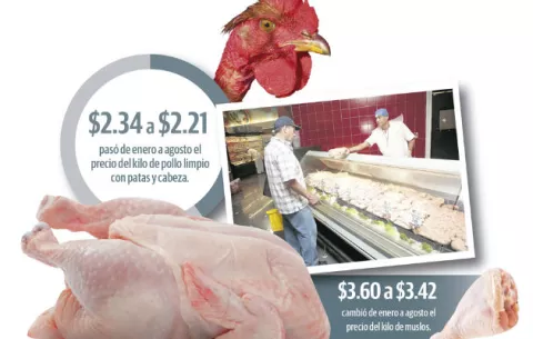 Incremento en la oferta de pollos impacta a empresas
