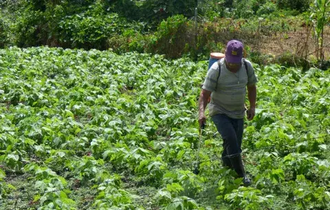 Industriales instan a consumir el producto nacional