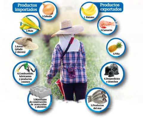 Panamá gasta $10 mil millones en importación de productos anualmente 