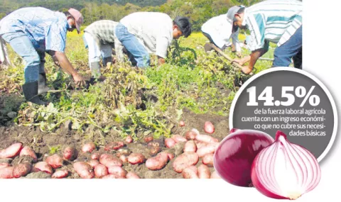 Sector agropecuario no quiere más  improvisación