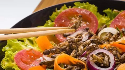 Un estudio de un grupo de científicos italianos defiende el valor nutritivo de algunos insectos