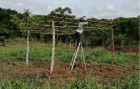 Desalojados de Puerto Caimito se toman terrenos cerca al hospital de La Chorrera 