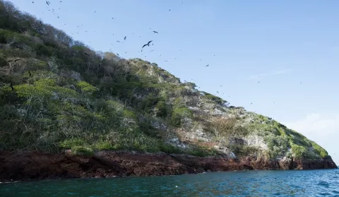 Ministro de MiAmbiente promete que isla Boná será un área protegida