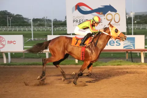 Dos inmensos acumulados se pondrán juego hoy como antesala de la Serie del Caribe
