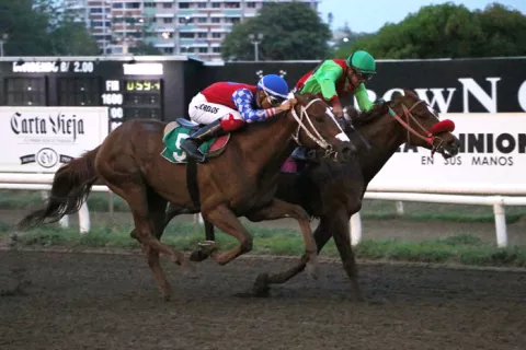Miami Love tendrá una carrera complicada, a pesar de que desciende de grupo