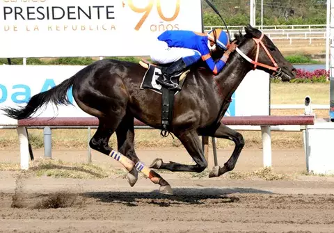 Pleasantly Big sale a la pista en pos de otro ganador en una carrera de reclamo