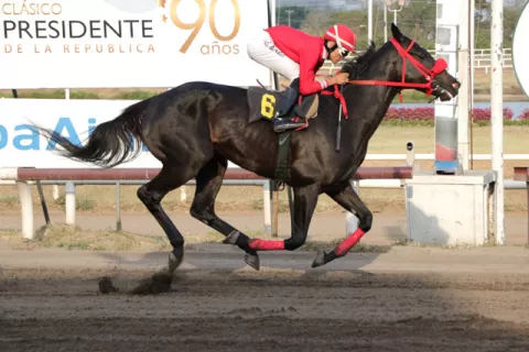 Kid Cimmaron va por su cuarto ganador al hilo, esta vez en una fusión de series