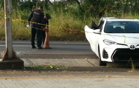 Cometen fechoría con un auto robado, se dan a la fuga, los persiguen y terminan volcados
