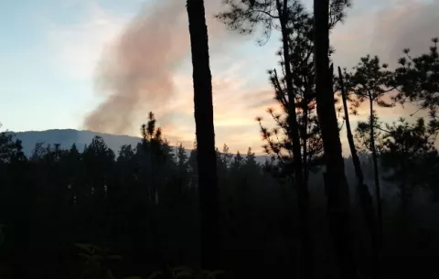 Más de 30 hectáreas de la reserva forestal La Yeguada devastadas por un incendio