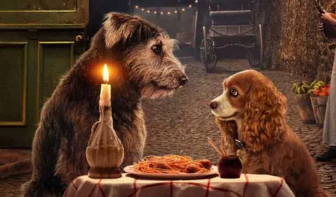 Monte, de la perrera al celuloide, tendrá uno de los protagónicos en la cinta 'Lady and the Tramp'