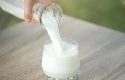 Programa de entrega de leche a estudiantes presenta deficiencias