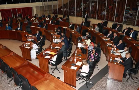 'Diputados con licencia para  litigar no deben cobrar', afirma abogado Ernesto Cedeño