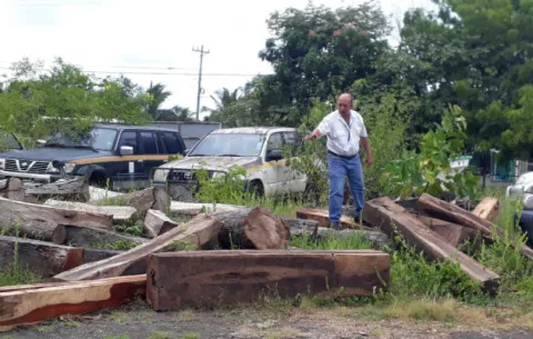 Incautan 800 pies de madera de Cocobolo a bordo de un vehículo en Los Santos