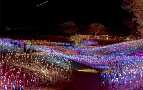 Espectáculo de luces en California invita a 'perderse'