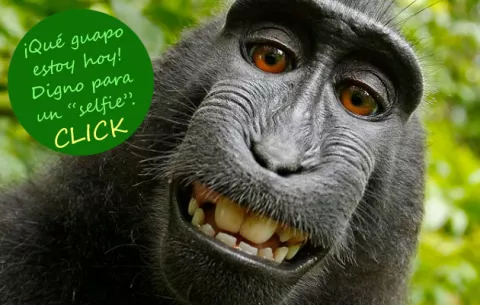 El selfie más polémico