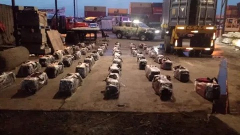 Nuevo golpe a los narcos, decomisan más 1,500 paquetes de cocaína en un contenedor