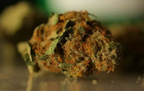 Estudio: Marihuana lleva a cambios cerebrales