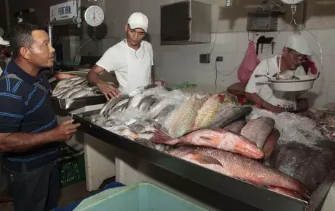 "En Cuaresma es dejar la carne, pero no significa optar por mariscos"