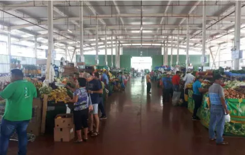 Merca Panamá trabaja en horario regular