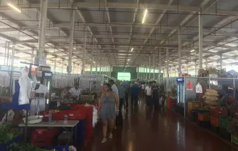 Suben un 17 por ciento las ventas de minoristas en Merca Panamá