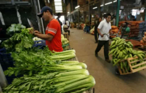 Merca Panamá no cobrará por el momento la entrada al lugar 