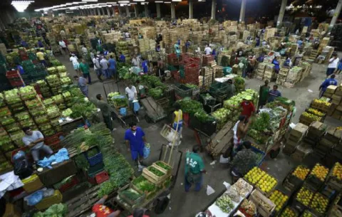 Mexicana Mexifrutas invertirá 20 millones de dólares en planta en Costa Rica