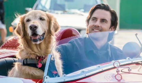 'Mi amigo Enzo' una película sobre amistad, motivación y reingeniería mental y conductual