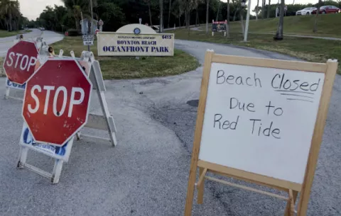 Cierran playas de Miami ante presencia de la marea roja