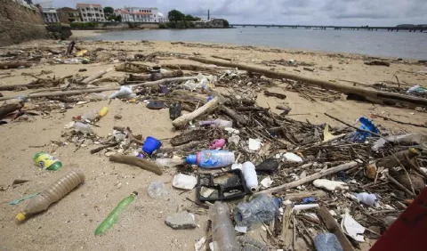 El Caribe de Panamá está plagado de microplásticos