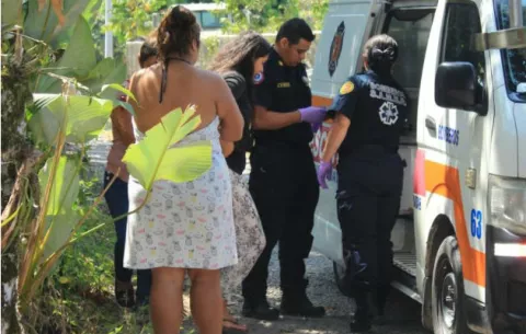 Tres mujeres fueron atacadas por abejas africanizadas en La Estrella, Bugaba 