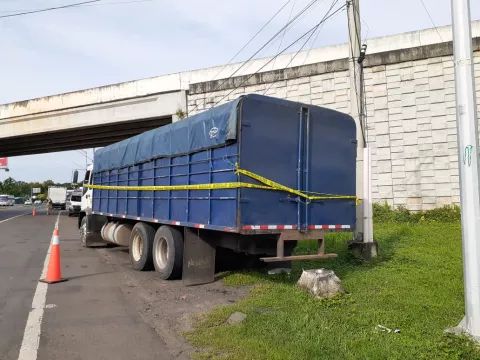 Decomisan más de 400 quintales de ñame de contrabando en Ocú