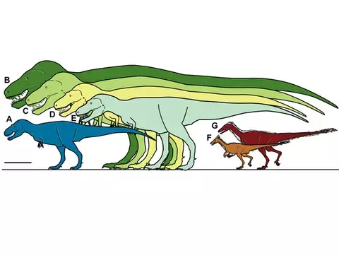 Presentando el Mini-Tiranosaurio Rex en Alaska