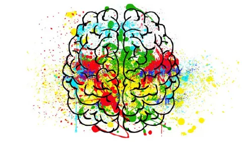 ¿Qué es la neuropsicología?