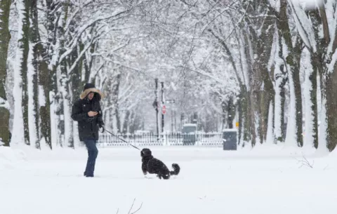 La nieve cubre a Nueva York y estados cercanos por lo que cierran escuelas