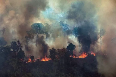 Los incendios de la Amazonía podrían quemar a Jair Bolsonaro 