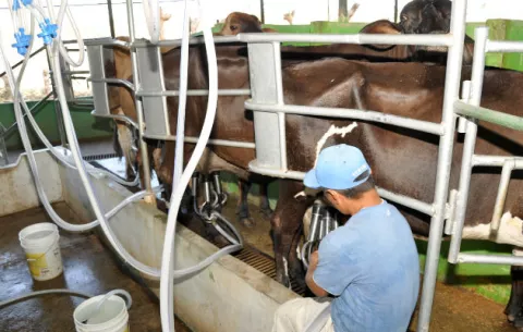 Agroindustriales lácteos acuerdan con autoridades aumentar arancel  a los quesos mozzarella