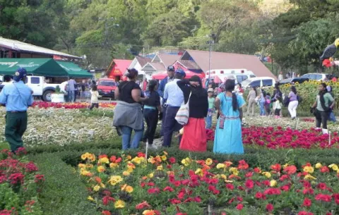 Todo listo para la versión número 30 de la Expo Orquídeas 2016
