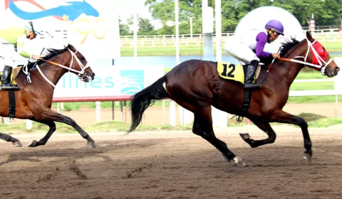 Un clásico y varias carreras de buen nivel hoy en el Hipódromo Presidente Remón