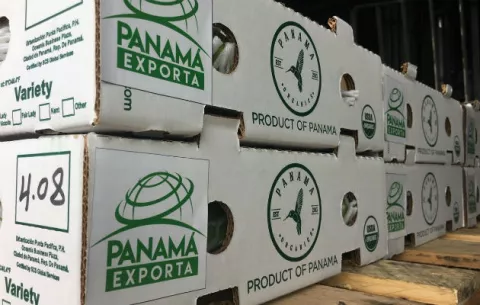 China y Dubái nuevos mercados de exportación para las empresas panameñas